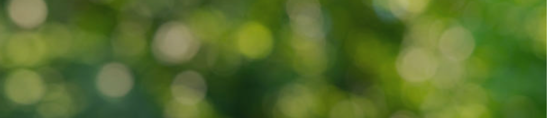 tim-green