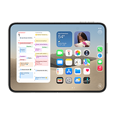 Apple iPhone Duo